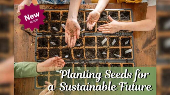 Planting Seeds For A Sustainable Future